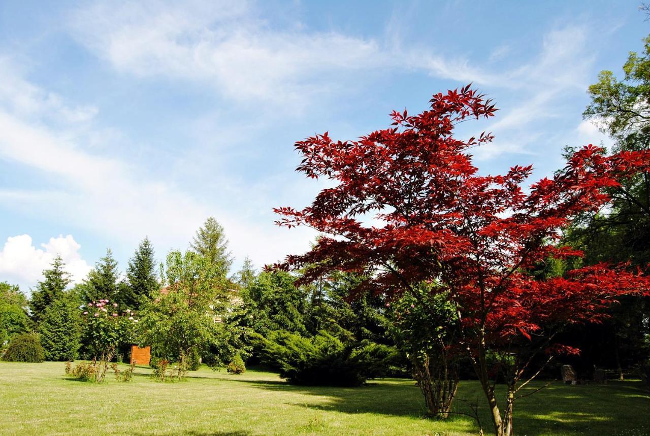 Villa Hedi Vendeghaz ดูนากิลิตี ภายนอก รูปภาพ